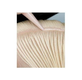 Toning for the Power Blonde Look